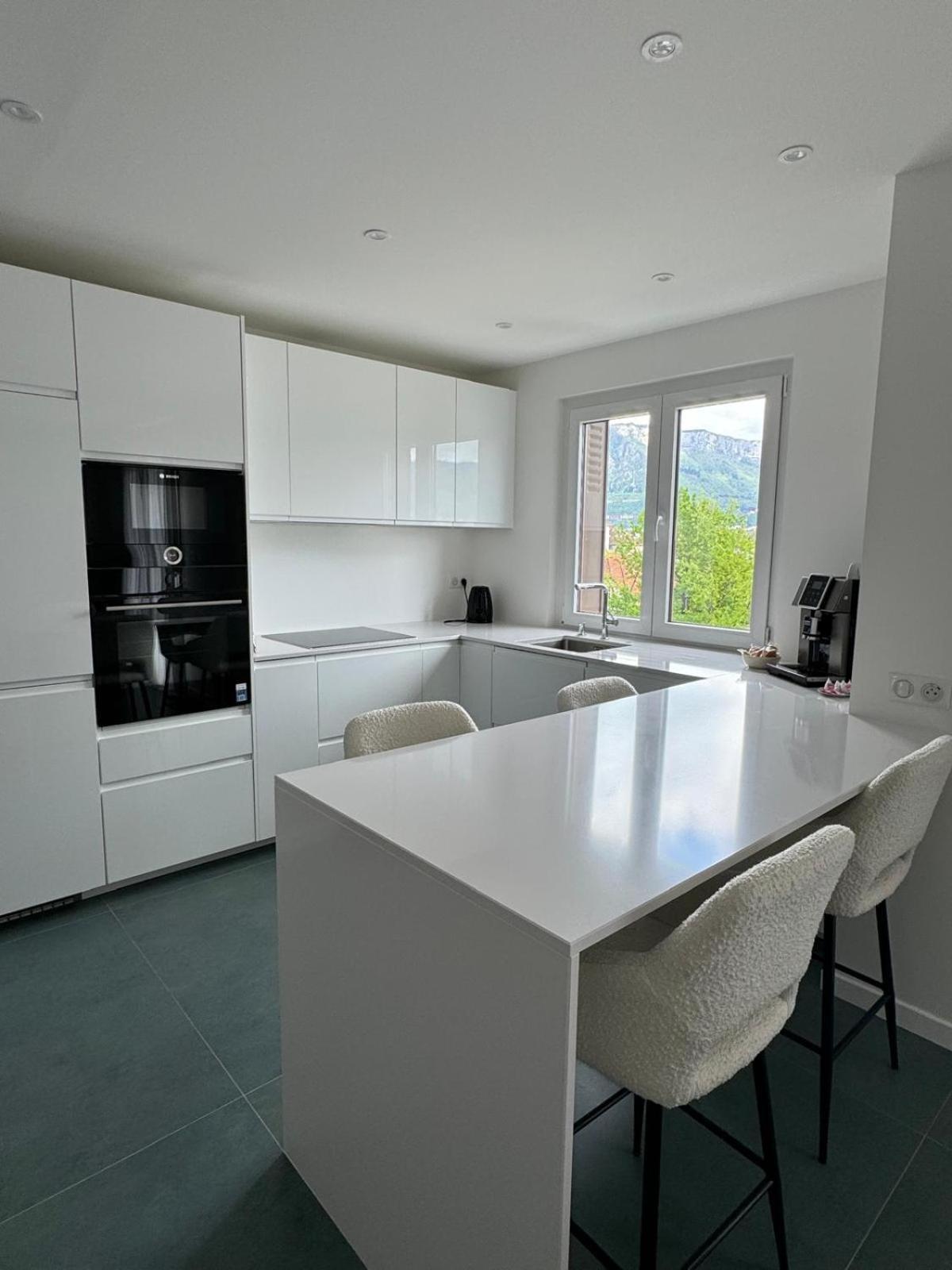 Modern Green & White - Apartments T3 60M2 Annecy - Parking Prive - Wifi - Netflix Экстерьер фото